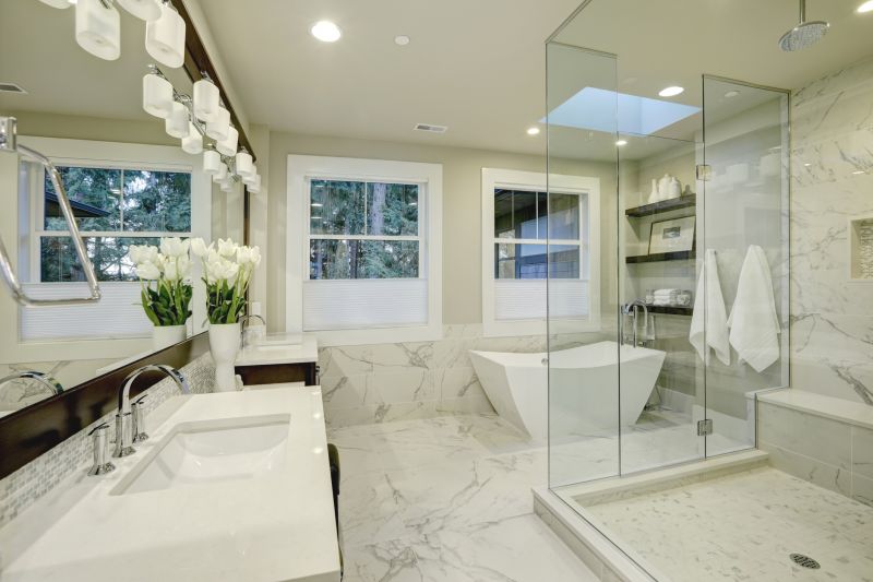 Walk-In Shower Designs
